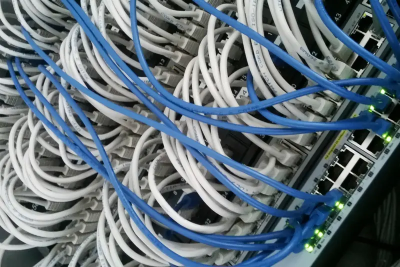 Patchkabel in einem Netzwerkschrank